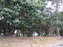 伊丹市緑ヶ丘公園から見た隣の市民プール